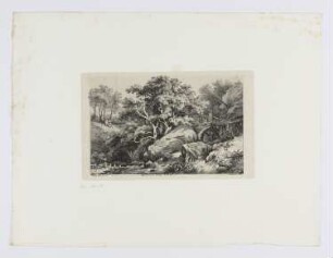 Moulin près d’Alby en Savoye, aus: "Malerische Ansichten"