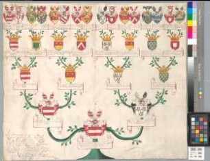 Proband: Hövel, Josina Sibylla Theodora von; Vater: Hövel, Johann Ernst Jakob von; Mutter: Schwansbell, Sibylla Sophia Johanna von: Clarenberg, Stift