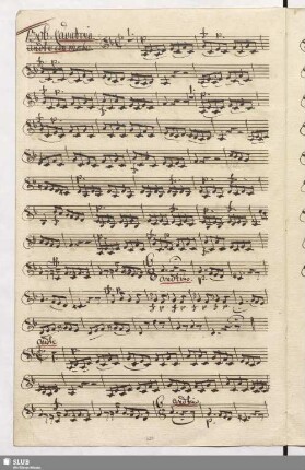 1306. Cavatina: Batti il ferro / Seydelmann, F.