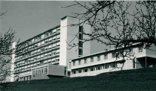 Sperrholzkastenschalung, 1954-1960