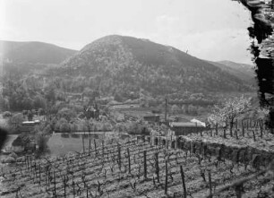 Weinberg
