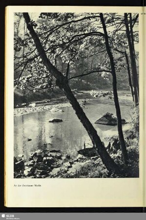 An der Zwickauer Mulde