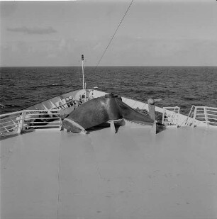 Kreuzfahrtschiff MS Baltica, Vorschiff