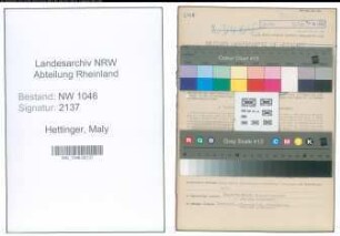 Entnazifizierung Maly Hettinger , geb. 04.07.1908 (Krankenschwester)