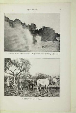 2. Pflügender Bauer in Algier