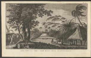 Pl. 21 Afia-Too-Ca, Cimetiere Dans L'Isle D'Amsterdam.