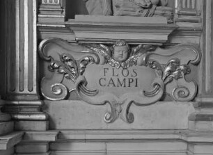 Inschrift Flos Campi