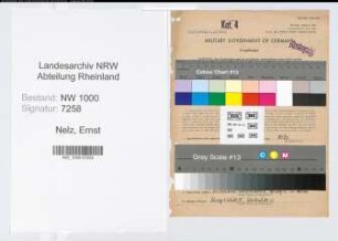 Entnazifizierung Ernst Nelz, geb. 10.04.1905 (Gewerberat)