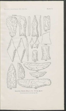 Plate 11. - Scrapers, knives, drills, etc. Fayum, Egypt.