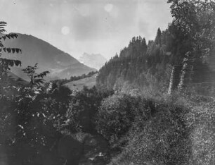 Alpine Landschaft : Landschaft mit Bergwald in den südwestlichen Alpen