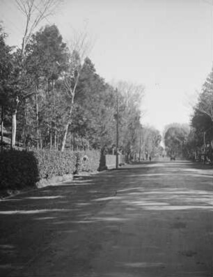 Kōshū Kaidō. Straßenbild : Kōshū Kaidō. Straßenbild mit Hecken