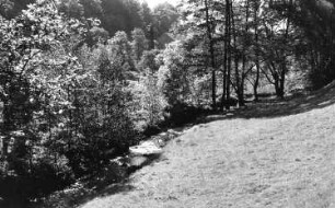 Triebischtal-Semmelsberg. Tal der Kleinen Triebisch unmittelbar bei der Grundmühle