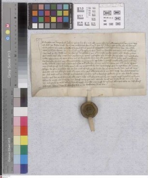 Rumpenheim: Günther von Rumpenheim gibt Reinhard und Johann v. Hanau seinen Teil an Dorf und Gericht zu Rumpenheim