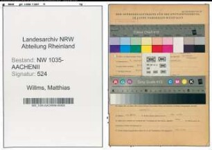 Entnazifizierung Matthias Willms , geb. 06.09.1900 (Meister)