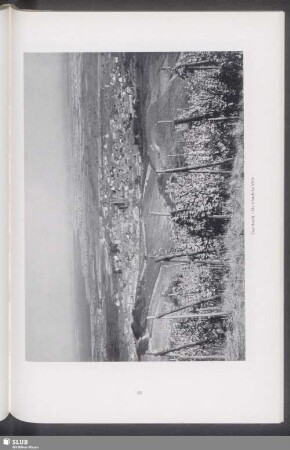 Dambach