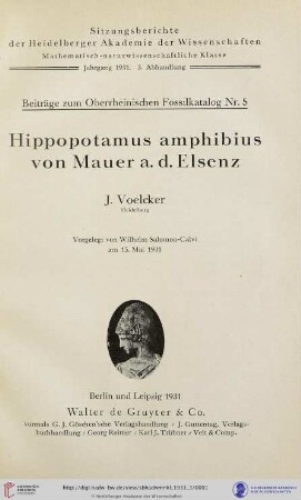1931, 3. Abhandlung: Sitzungsberichte der Heidelberger Akademie der Wissenschaften, Mathematisch-Naturwissenschaftliche Klasse: Hippopotamus amphibius von Mauer a. d. Elsenz