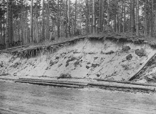 Dünenaufschluß, Schorfheide : Geographie | Morphologie des norddeutschen Tieflandes