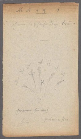 Carl Spitzweg (1808 - 1885) Autographen: Briefe von Carl Spitzweg an verschiedene Adressaten, sowie Schriftstücke und Zeichnungen - BSB Autogr.Cim. Spitzweg, Carl, 14. Carl Spitzweg (1808 - 1885) Autographen: Eigenhändiges Schriftstück von Carl Spitzweg - BSB Autogr.Cim. Spitzweg, Carl.14