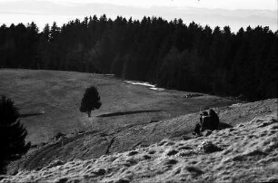 Hang am Gießhübel