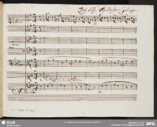 Evergete. Excerpts - Mus.2973-F-34,4 : S, orch, bc
