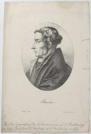 Bildnis des Bucer