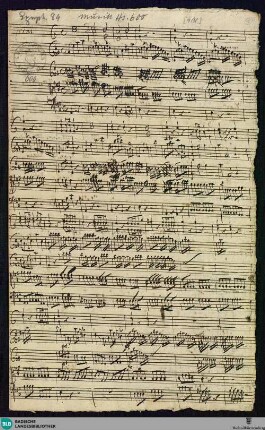 Symphonies - Mus. Hs. 600 : orch; A; BrinzingMWV 7.107