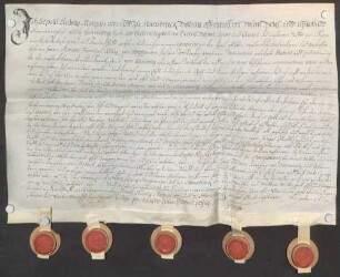 Instrumentum probationis des Leopold Ludwig Marquis von Hoensbroech.