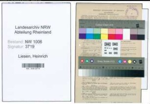 Entnazifizierung Heinrich Liesen , geb. 17.07.1902 (Landwirt)