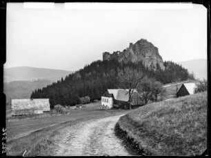 Ruine Tollenstein (von West)