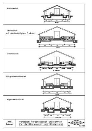 Vergleich verschiedener Stallformen für die Rinderzucht und Rindermast