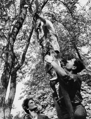 Apfel pflücken im Schrebergarten. Ein Junge steht auf der Leiter während der Vater diese hält. Der Arm des Jungen ist zu kurz. Er erreicht die Frucht nicht.