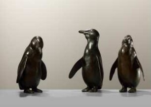 Pinguine