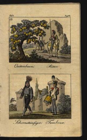 Tafel 5.: Quittenbaum. Ritter. Schornsteinfeger. Tambour.