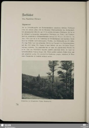 Forstliches