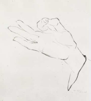 Hand (Naturstudie)
