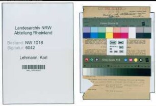 Entnazifizierung Karl Lehmann , geb. 07.07.1901 (Werbeleiter)