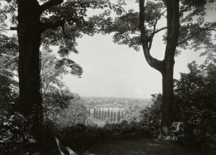 Dresden-Wachwitz. Blick vom Elbhang über die Elbaue zur Loschwitzer Brücke ("Blaues Wunder")