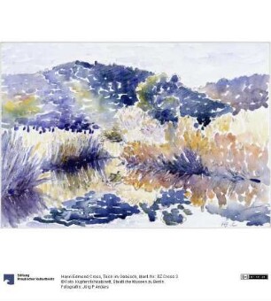 Teich im Gebüsch