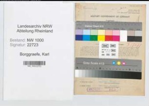 Entnazifizierung Karl Borggraefe, geb. 19.06.1905 (Ingenieur)