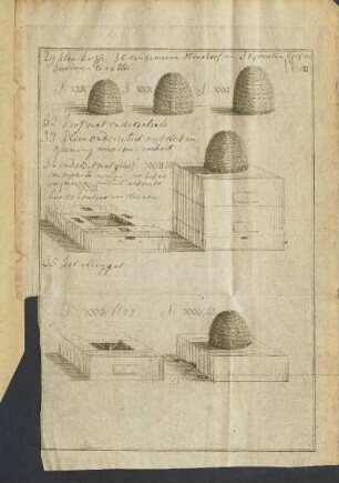 Illustration: Pl. VIII.
