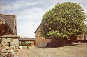 Fritz-Berodt-Straße 7-9: Hofanlage: westliches Wirtschaftsgebäude, Giebel mit Verbretterung: davor Hofplatz mit Kopfsteinpflaster, Baum: linker Bildrand Haus Nr. 7 [Haus am Teich, angeschnitten]: im Hintergrund Wirtschaftsgebäude