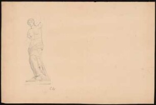 Weiblicher Torso: Ansicht