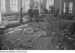 Renate Rössing vor Blumen in einem Gewächshaus