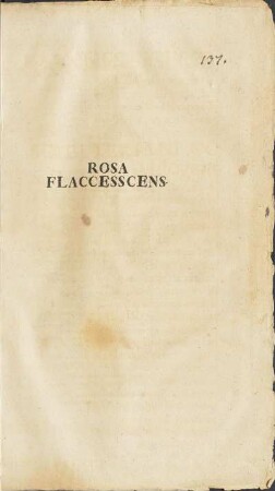 Rosa Flaccesscens