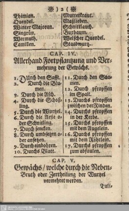 Cap. V. Gewächs, welche durch die Neben-Bruth oder Zertheilung der Wurtzel vermehret werden