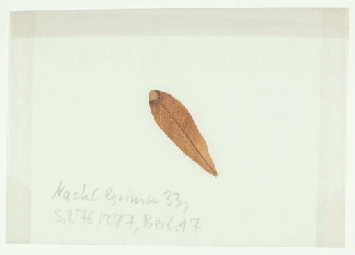 [Beil. 17]