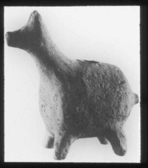 Tell ed-Duwei [Lachis], Tiervase