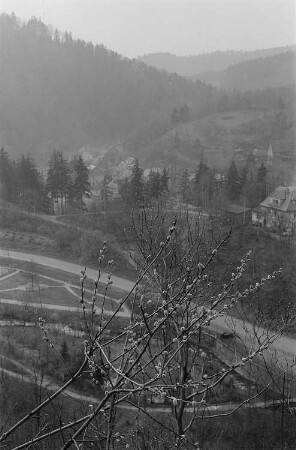 Blick in ein Tal. Im Vordergrund ein Weidenast, im Hintergrund eine bergige Waldlandschaft und ein Dorf