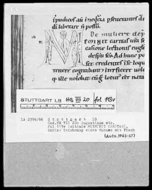 Augustinus etcetera, Sermones — Initiale M(EMINIT CARITAS), Folio 113verso