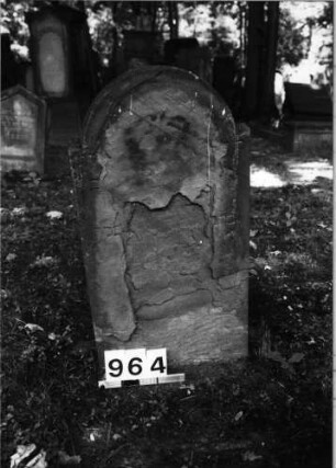 Grabstein 964 (Index: 99630456) Material: Sandstein Zustand: völlig abgeblättert Maße HxBxT: 85x43x6 cm Beschreibung: Stele mit eingezogenem Rundbogenabschluß: Grabstein 964